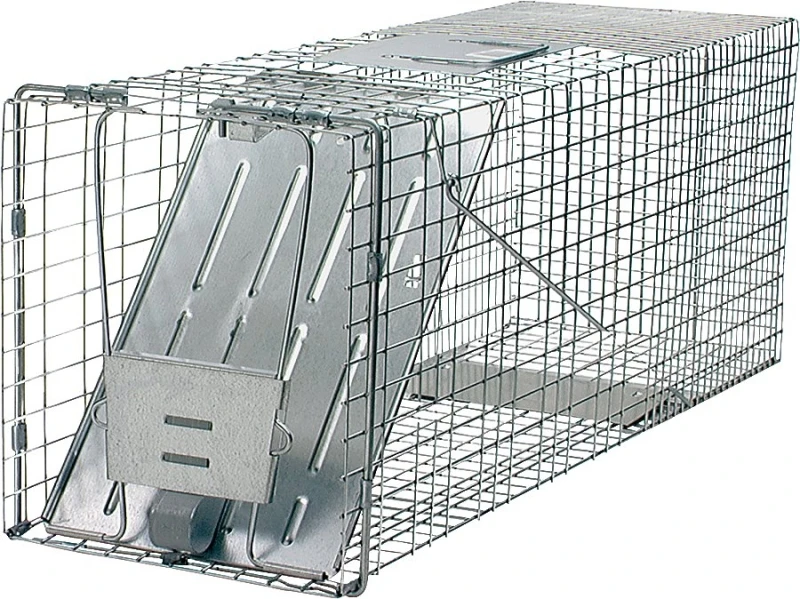 Live Animal Cage Trap, 32 In.