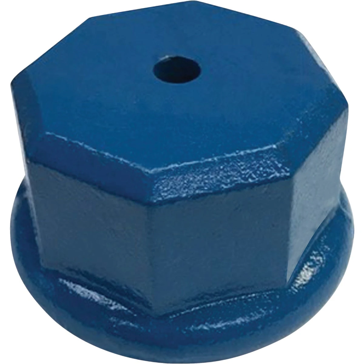 1-1/4 Inch Octagon Drive Cap For Well Points - Model 1695