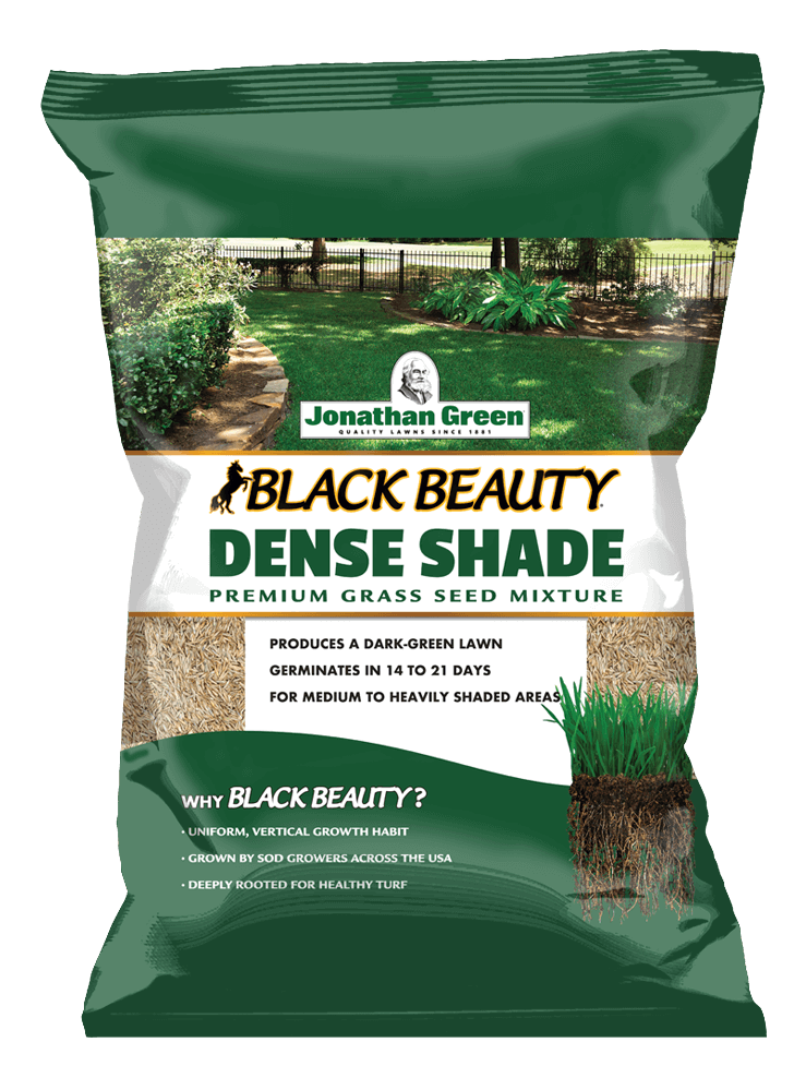 Jonathan Green Black Beauty Dense Shade Grass Seed